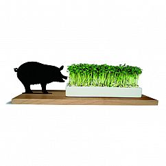 Kresseschale smart n green Schwein von side by side: mit Schwein-Silhouette, Spitzahorn-Brett und weißer Porzellanschale. Gefüllt mit Kresse.